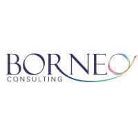 The BORNEO Consulting Co., Ltd. logo - Similar company to Full Forge Gear
