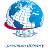 Napiform Global Service Limited logo - Similar company to International College Of Health Technology, Warji Bauchi State Nigeria.
