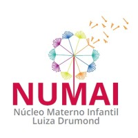 Numai - Núcleo Materno Infantil Luiza Drumond logo - Similar company to Paula Stancari Nutrição Materno Infantil