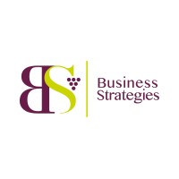 BS Business Strategies logo - Similar company to Bs Strategy