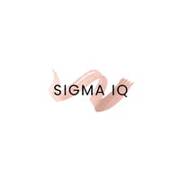 Sigma IQ logo - Similar company to Sigma Iq
