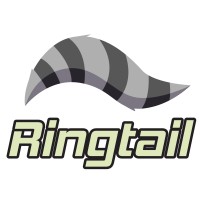 Ringtail Security logo - Similar company to Fuse Identities