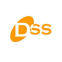 DS Systems LLC logo - Similar company to Bobmk Urban Design Network