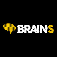Brains logo - Similar company to Five Gain