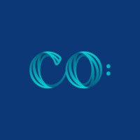 co:census logo - Similar company to Indata Partners