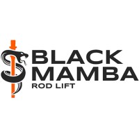 Black Mamba Rod Lift logo - Similar company to Pivotpoint Solutions