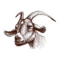 Happy Trails Ranch logo - Similar company to Resilient Manufacturing