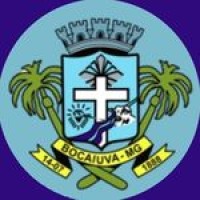 Câmara Municipal de Bocaiúva logo - Similar company to Prefeitura De Bocaiuva