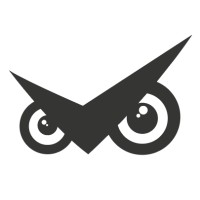 Flying Instructor logo - Similar company to Proasset