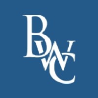 Blue Waters Consulting logo - Similar company to Kriv Technology