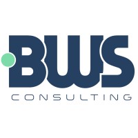 BWS Consulting logo - Similar company to Business Web Solutions (Uae)