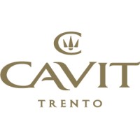 Cavit Group logo - Similar company to Cavit Spa