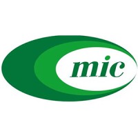 MinskInterCaps logo - Similar company to Werteks