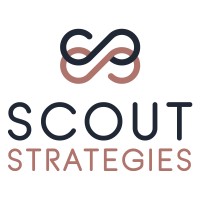 Scout Strategies logo - Similar company to David All Group
