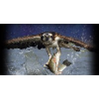 Osprey Spill Control