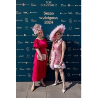 DAMOSFERA SP. Z O.O. logo - Similar company to Moss Partner