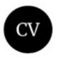 Clear Vision Web Solutions logo - Similar company to Cfo Spark