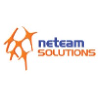 Neteam Solutions Inc logo - Similar company to Computero Inc.
