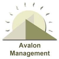 The Avalon Management Group, Inc. logo - Similar company to Whyrepipe.Com