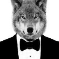 Crypto Omega logo - Similar company to Crypto Plantation