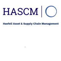 HASCM logo - Similar company to Rafisa Informatik Gmbh