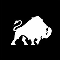 Bison Strategic logo - Similar company to Northern Rock