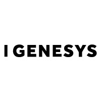 I-Genesys logo - Similar company to Codeandcore Ltd
