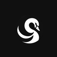 BlackSwan logo - Similar company to Infinitfrance