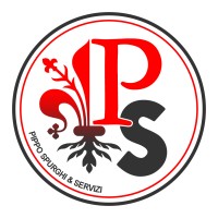 Pippo Spurghi & Servizi logo - Similar company to Pavind S.R.L.