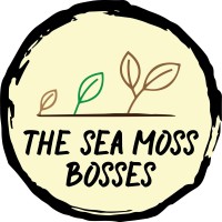 The Sea Moss Bosses logo - Similar company to Idavoll Limited : Idavoll Llc