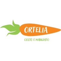 Ortelia logo - Similar company to Darumasoft