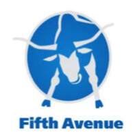 Fifth Avenue Research Corp. logo - Similar company to Hycroft Engineering Inc