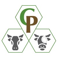 Conexión Pecuaria logo - Similar company to Patingas