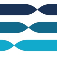 Nethex logo - Similar company to We Do Advisory