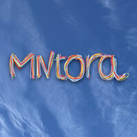 MNtora logo - Similar company to Fourier®