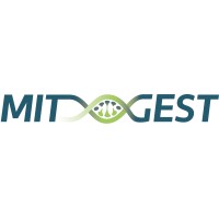 MITGEST_EU logo - Similar company to Baseclick
