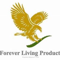 FENIL patel logo - Similar company to Kani Investment Solutions