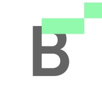 Bitskout logo - Similar company to Letsdata
