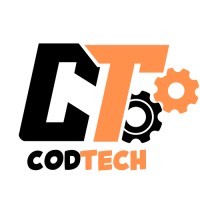CODTECH IT SOLUTIONS logo - Similar company to Nish Technologies