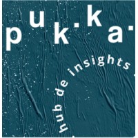pukka hub de insights logo - Similar company to Where Conceituação Imobiliária
