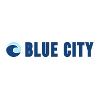 Blue City Network logo - Similar company to Blue Community .Net