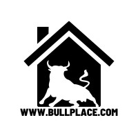 Bullplace logo - Similar company to Lendsmart
