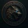 Dark Wolves logo - Similar company to Fee Udc