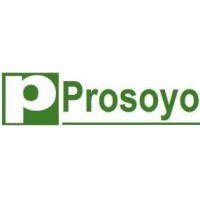 Prosoyo Technology Limited logo - Similar company to Accurate Electronics
