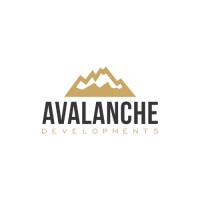 Avalanche Developments logo - Similar company to Arise Labs