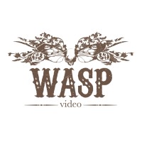 Wasp Video logo - Similar company to Airpixa
