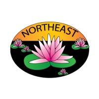 Northeast Broking Services Ltd. (Official) logo - Similar company to Prow Plus