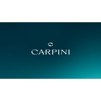 CARPINI logo - Similar company to Mas Light Solar S.A.S