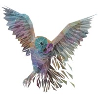 Wise Team logo - Similar company to Wiseteam