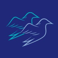 Wesoar.Ai
